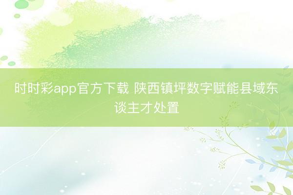 時(shí)時(shí)彩app官方下載 陜西鎮(zhèn)坪數(shù)字賦能縣域東談主才處置